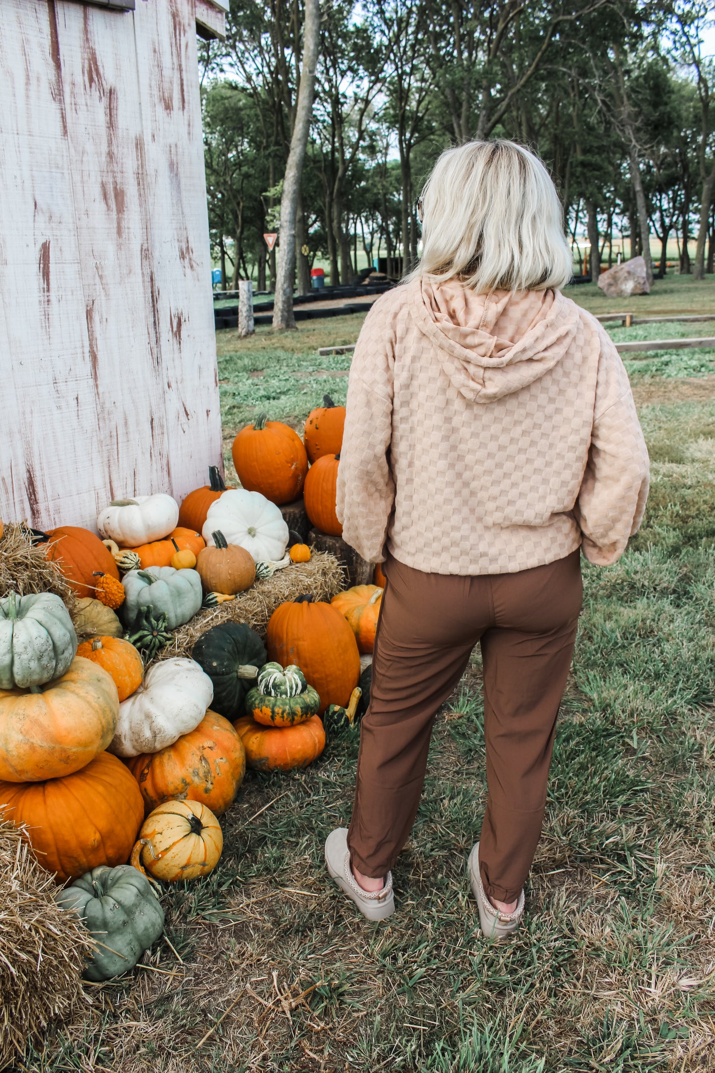 Easy Does It Joggers (Chocolate)