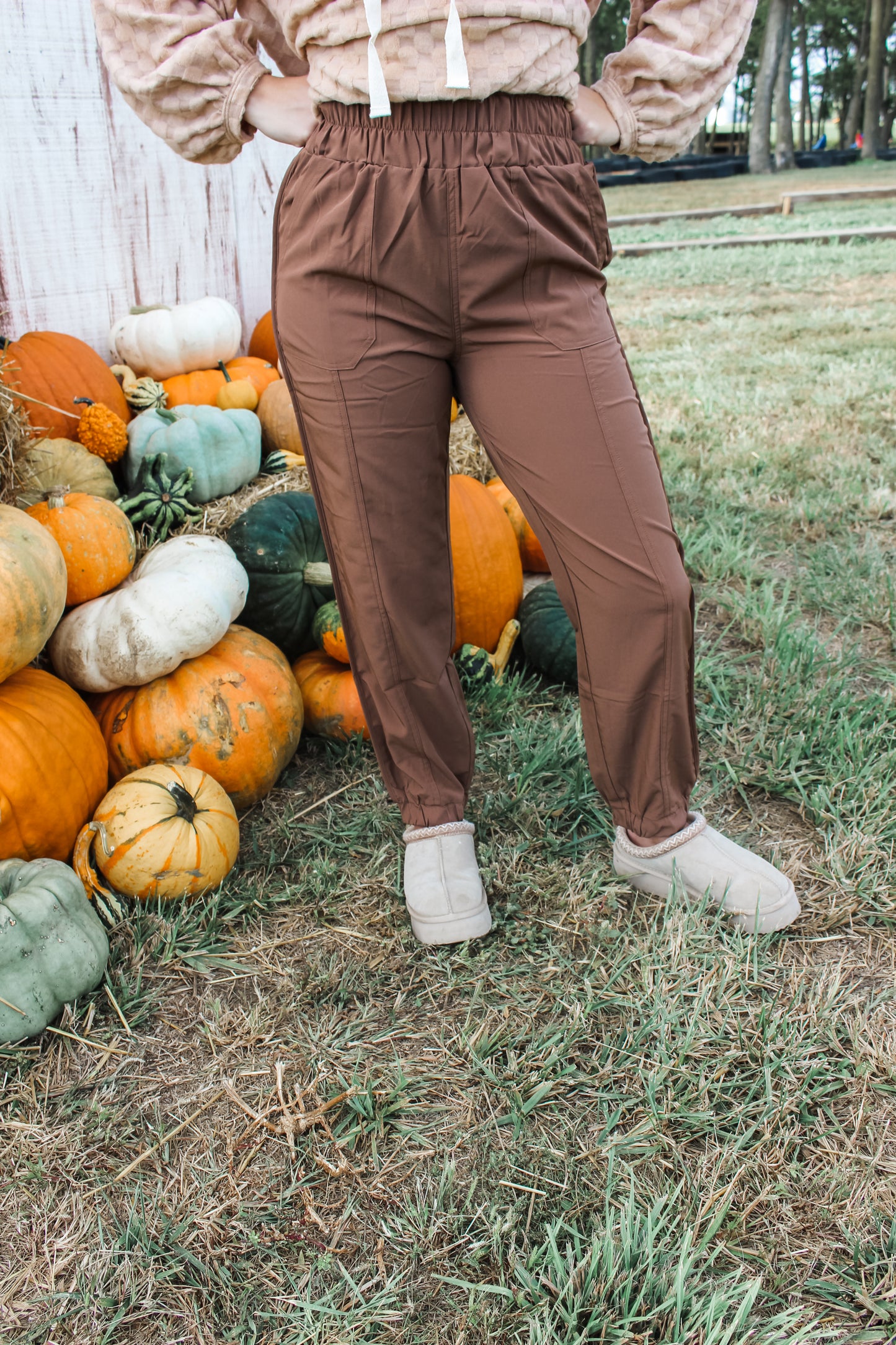 Easy Does It Joggers (Chocolate)