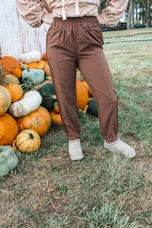 Easy Does It Joggers (Chocolate)