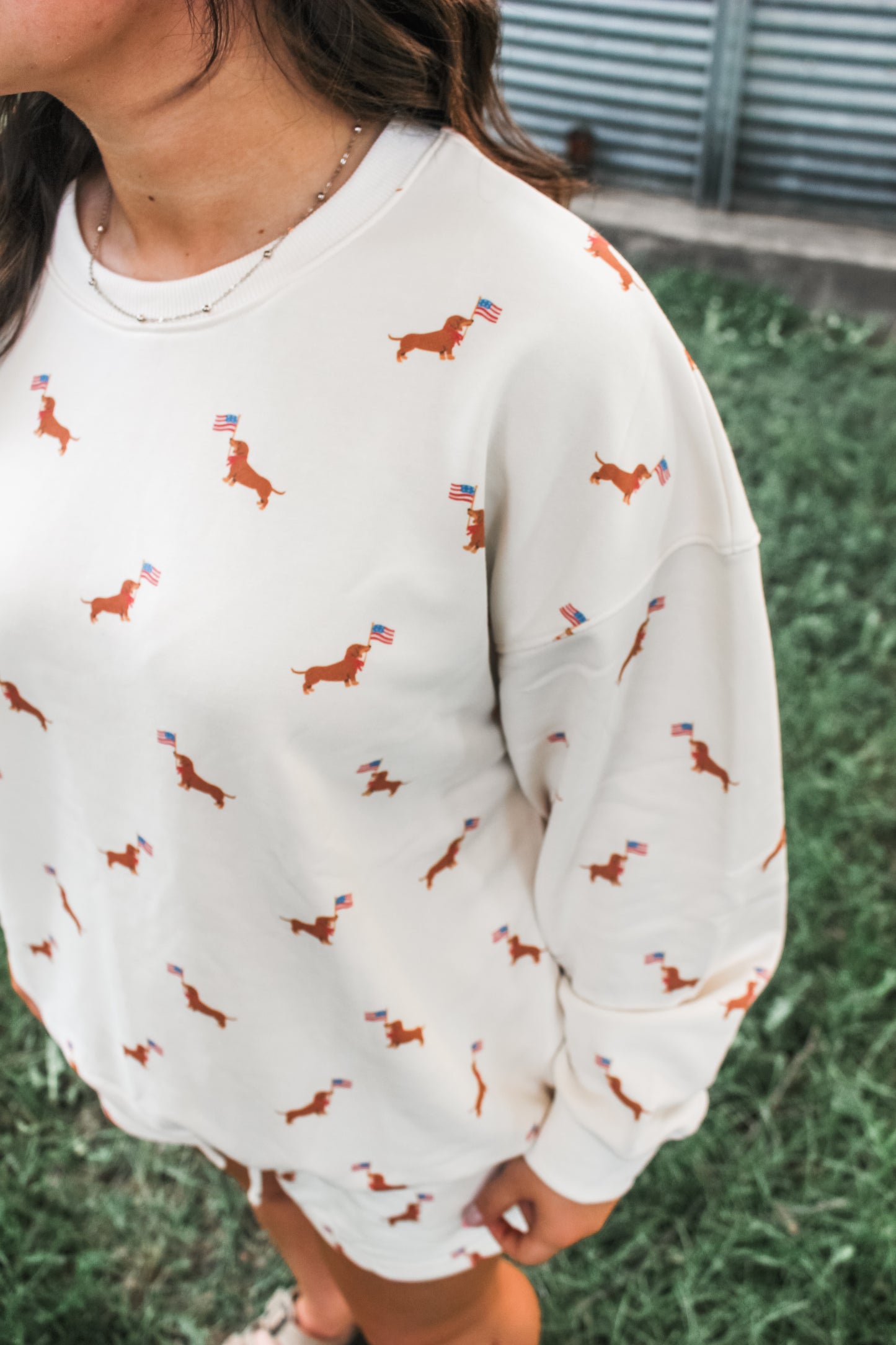 Americana Pup Crewneck