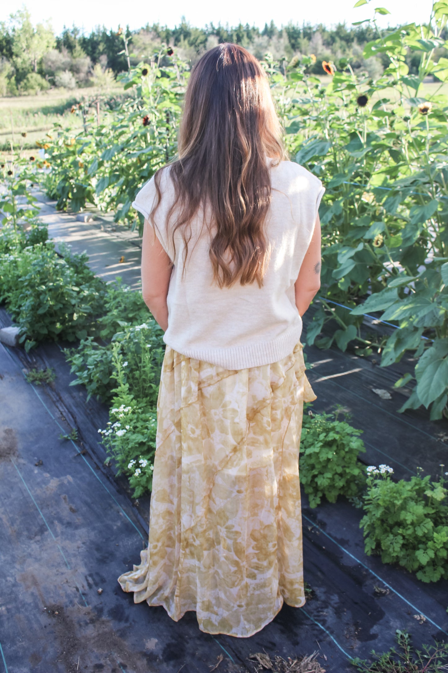 Fall Basic Sweater