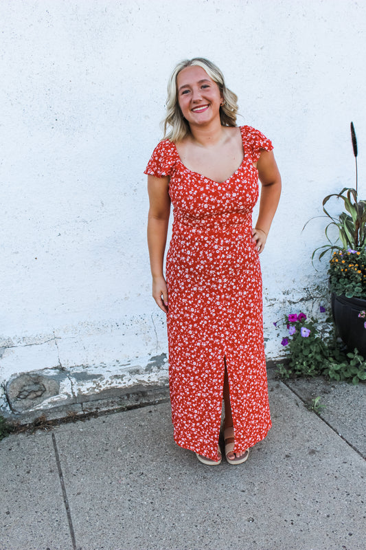 Picnic Date Dress