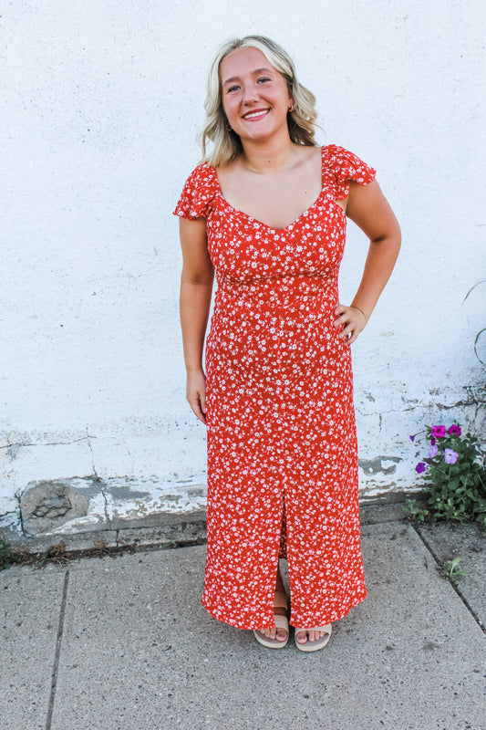 Picnic Date Dress
