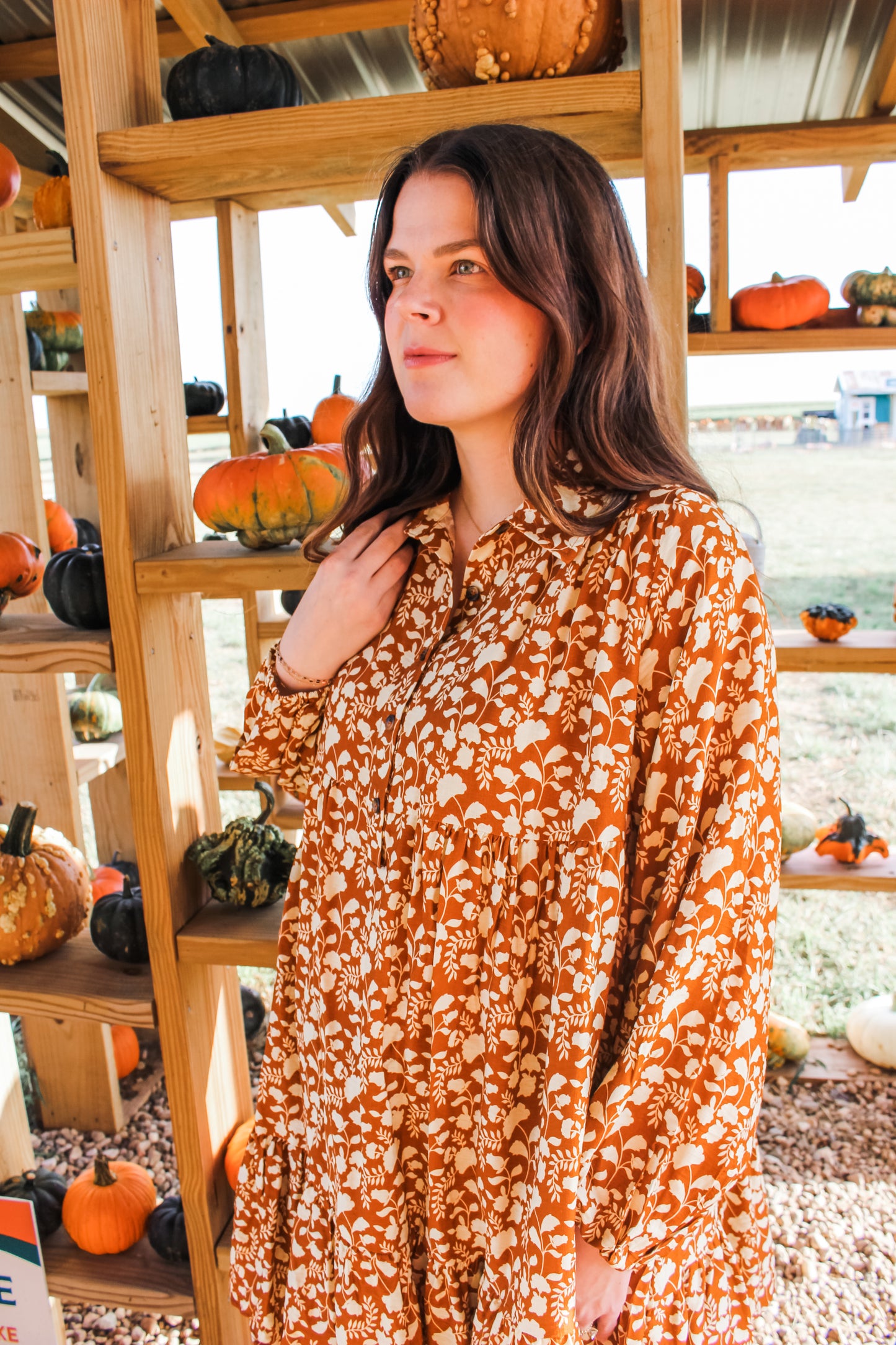 Harvest Sunset Dress (S-XL)