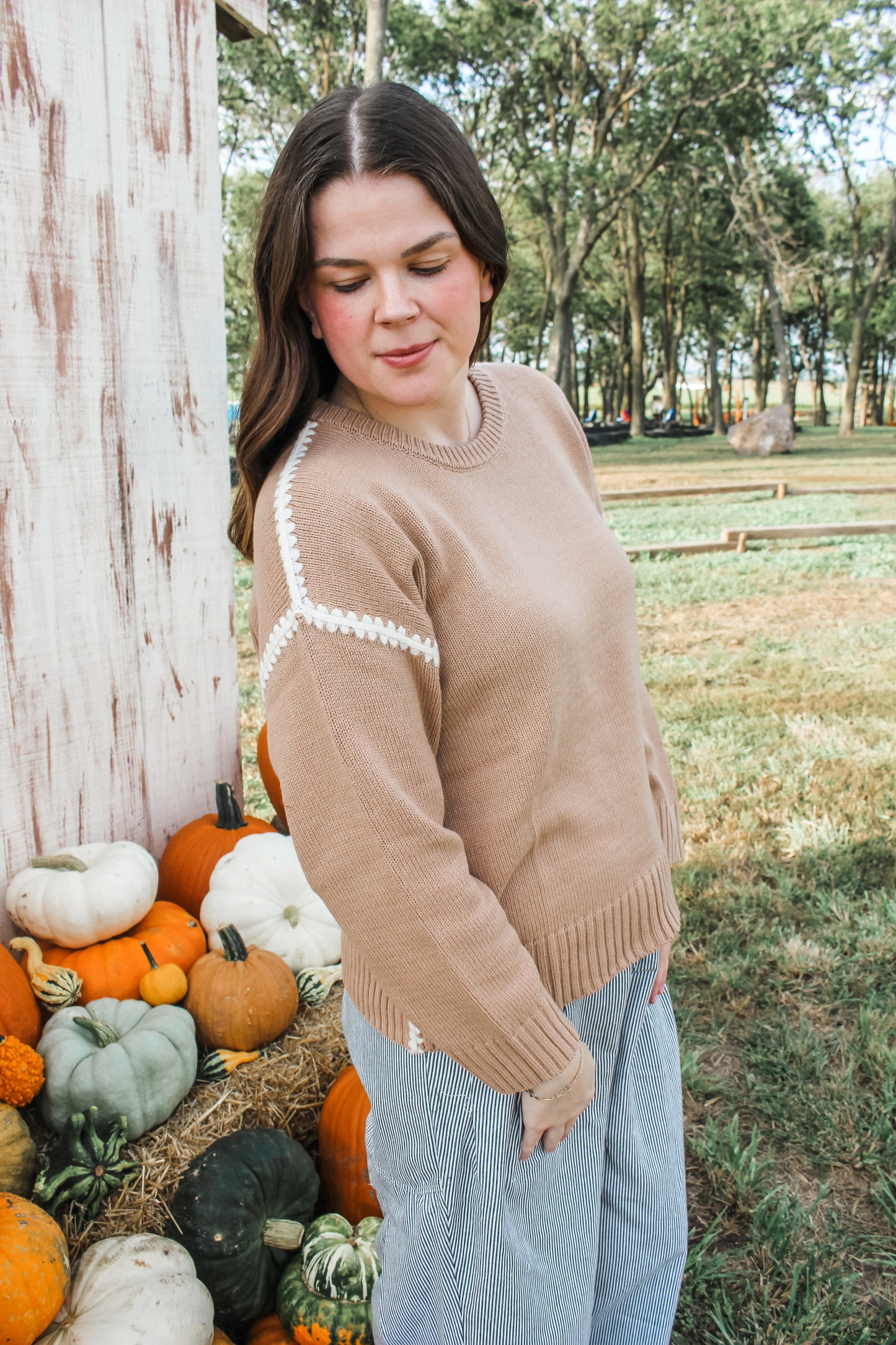 Picking Pumpkins Sweater