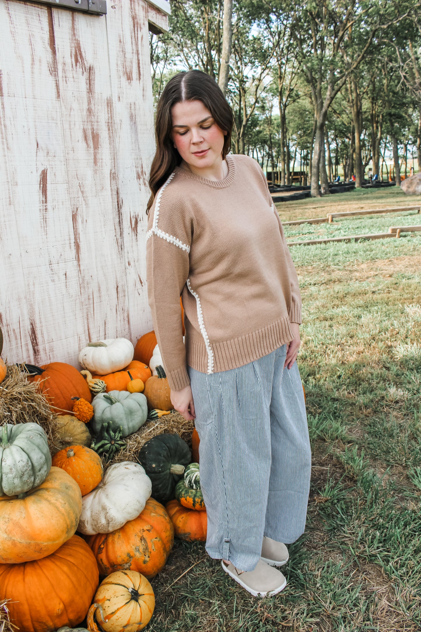 Picking Pumpkins Sweater