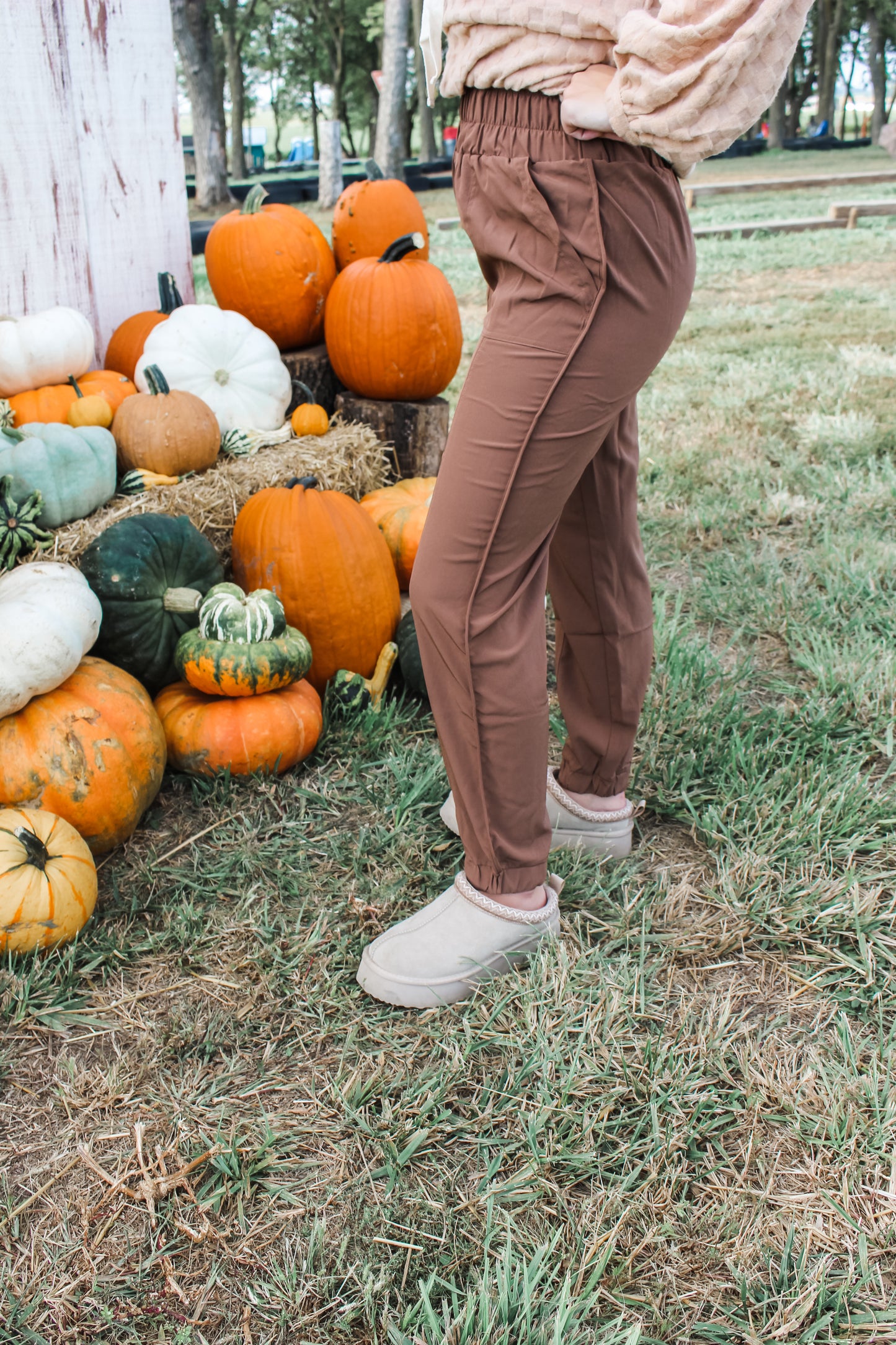 Easy Does It Joggers (Chocolate)