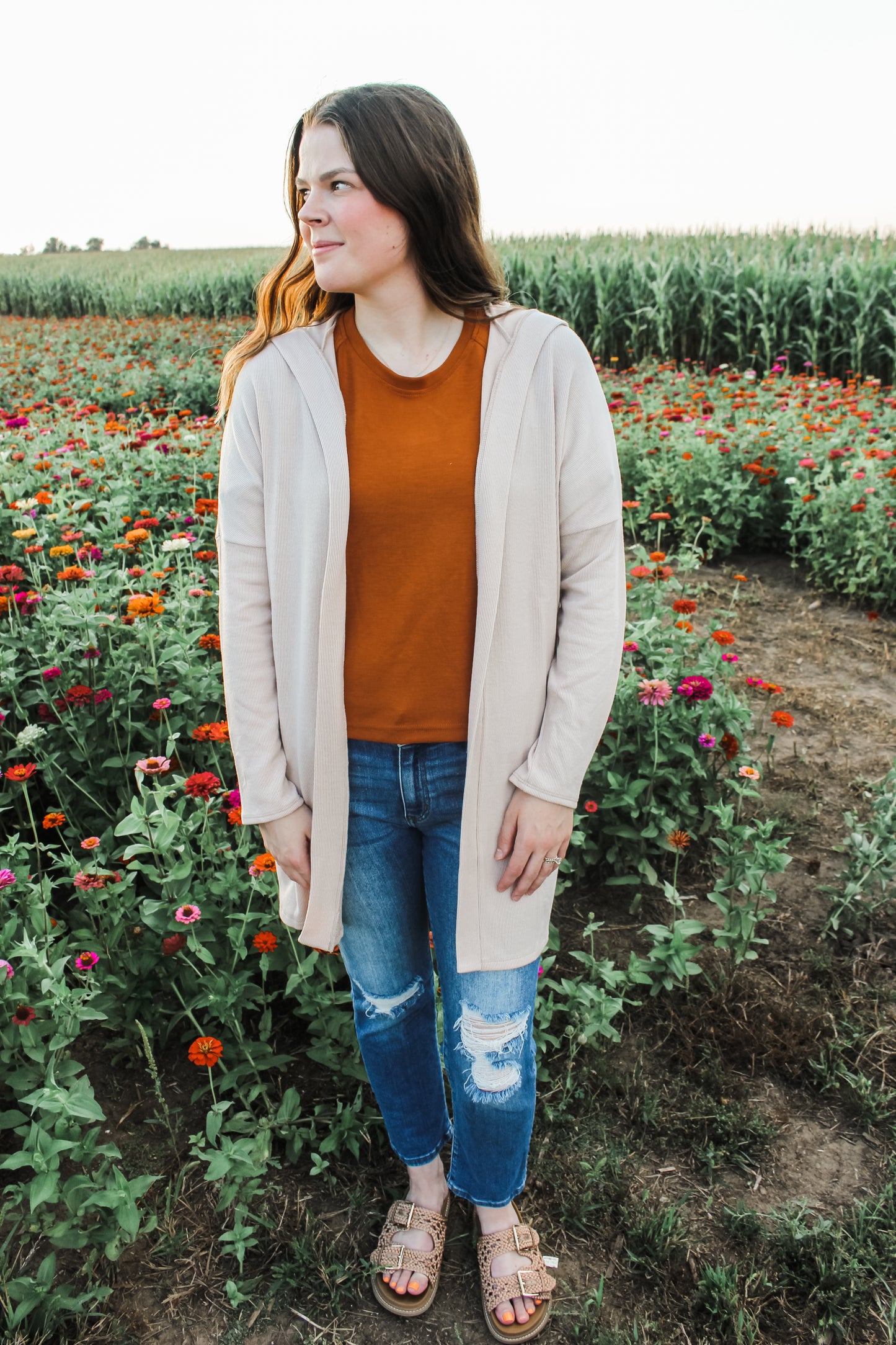 Charming Cardigan (Taupe) (S-XL)