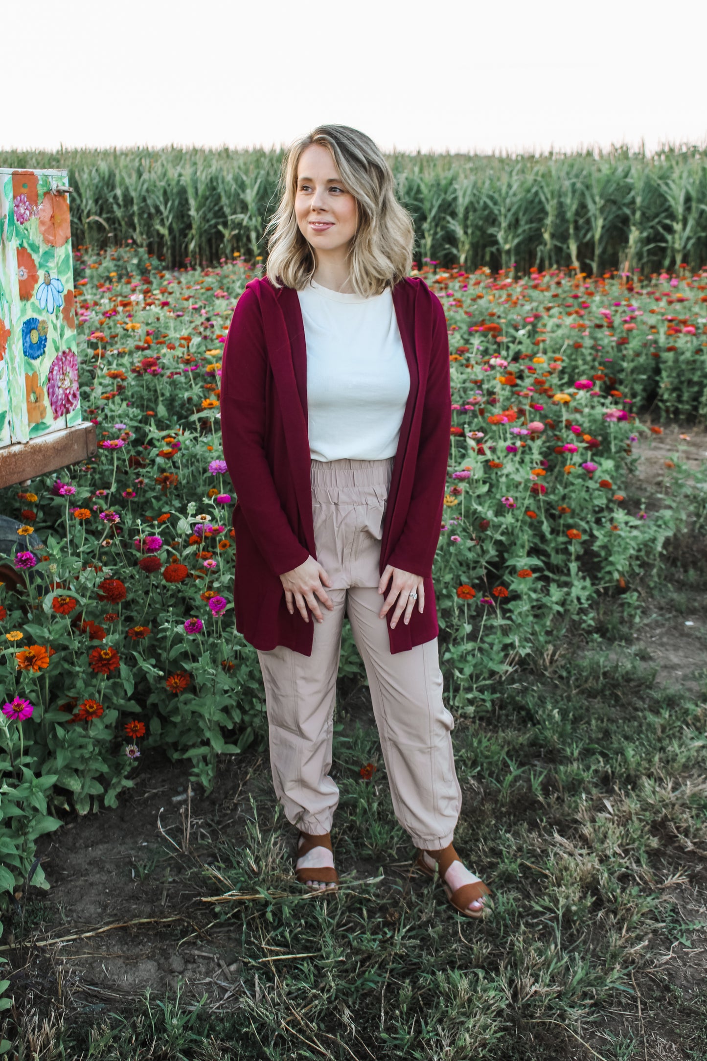 Charming Cardigan (Wine) (S-XL)