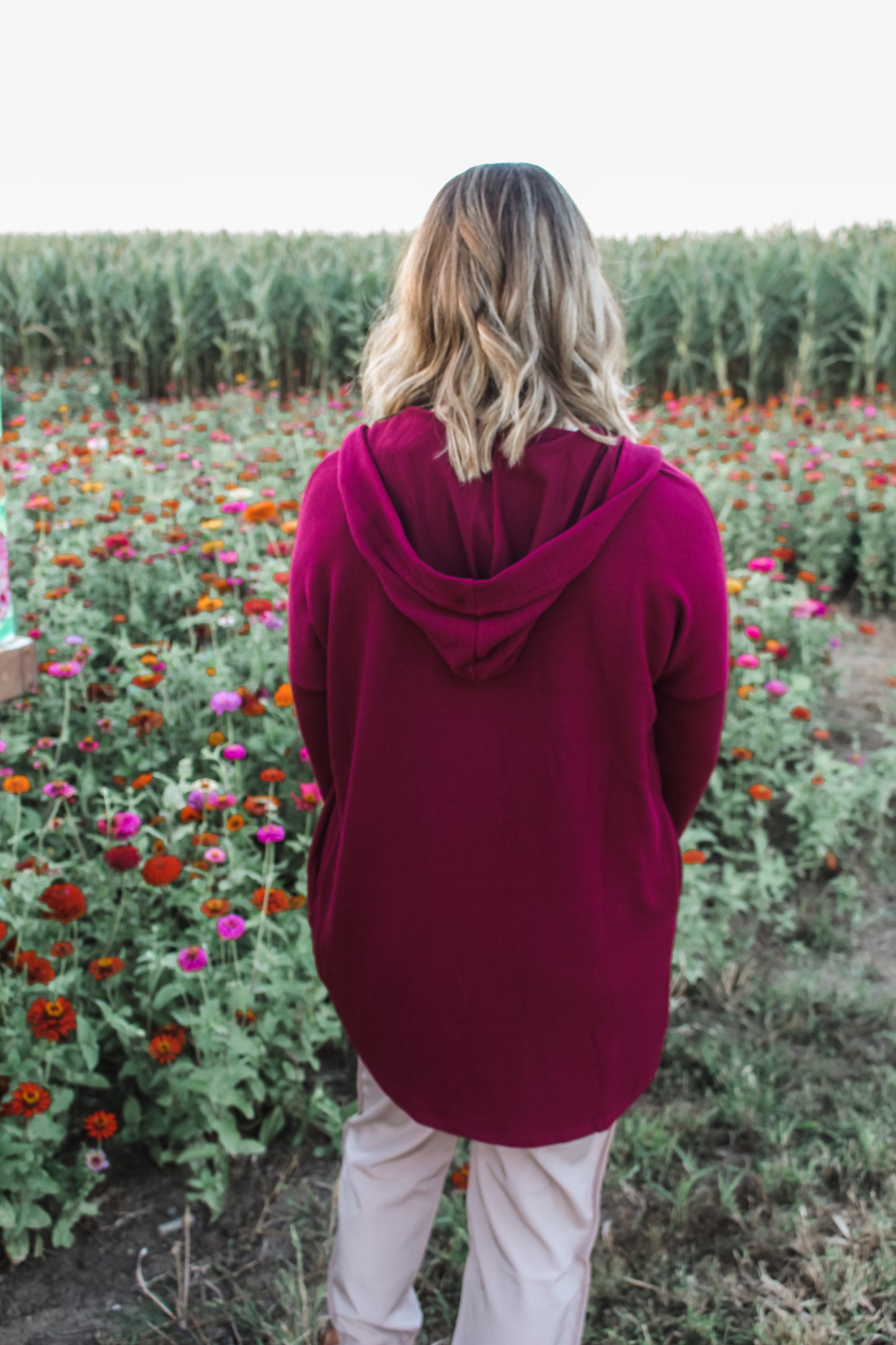 Charming Cardigan (Wine) (S-XL)