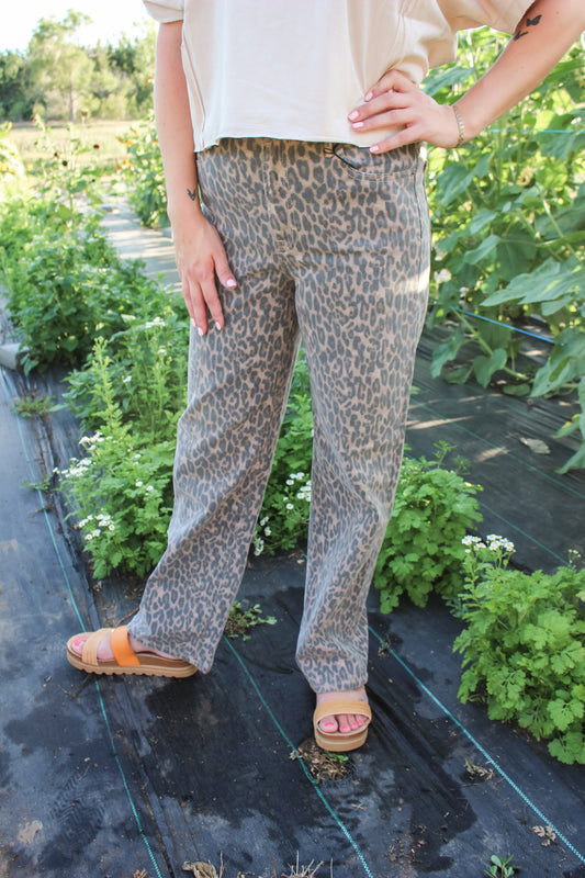 Autumn Muse Pants [Hidden]