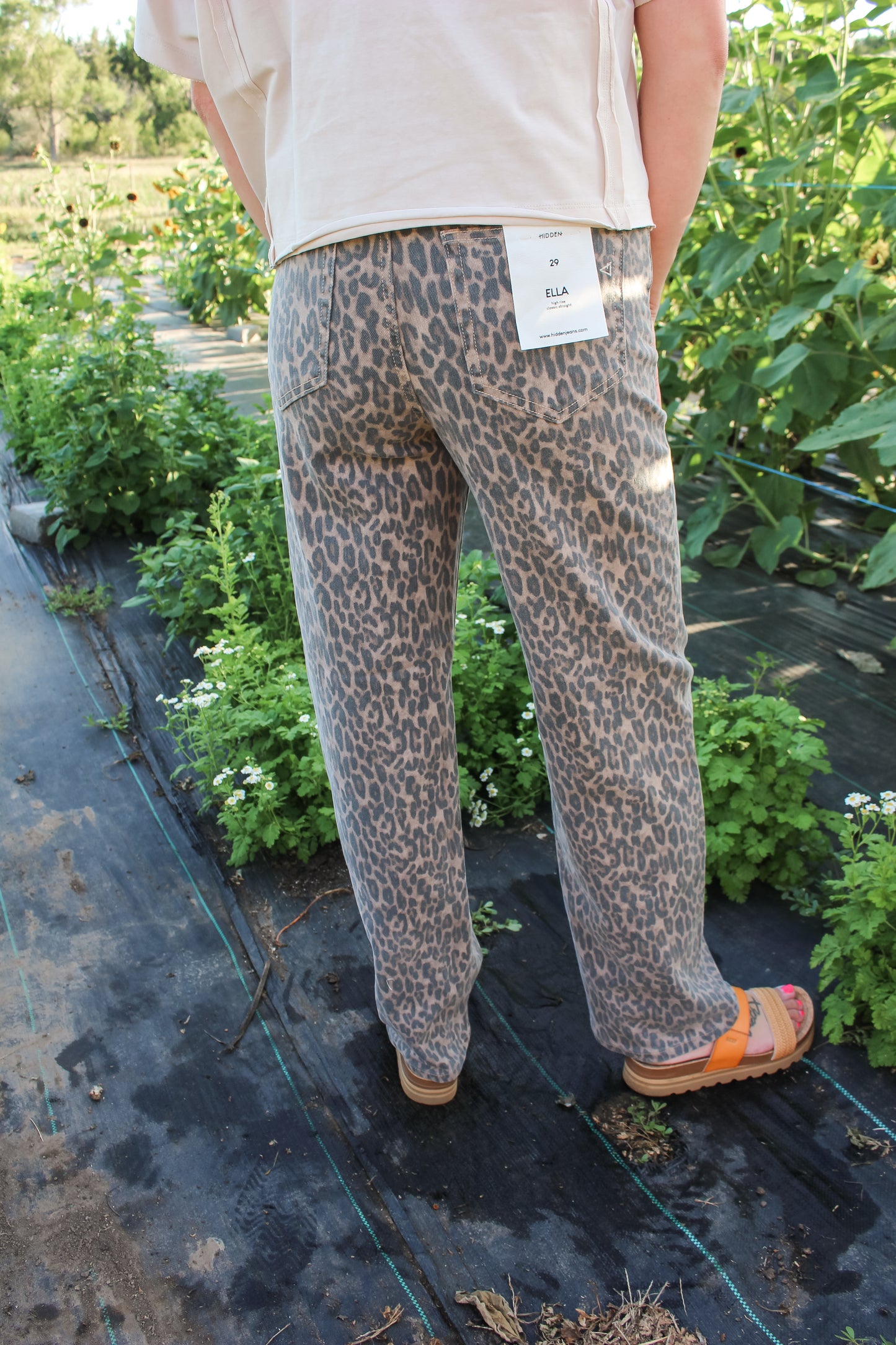 Autumn Muse Pants [Hidden]
