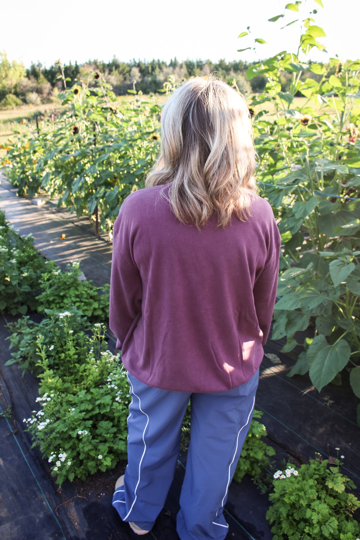 Classic Autumn Crew (Purple)