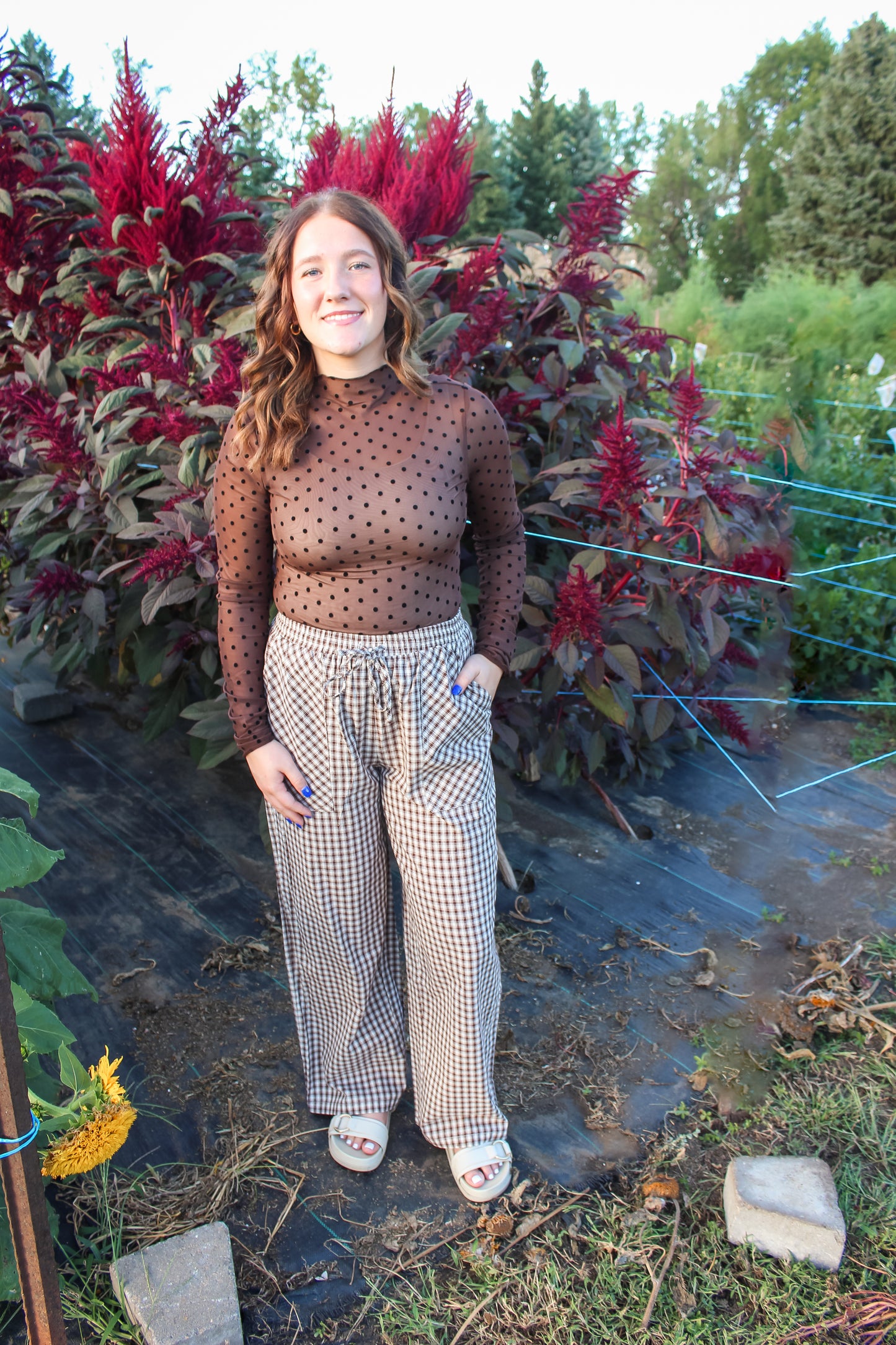 Fall Favorite Mesh Top (Brown)