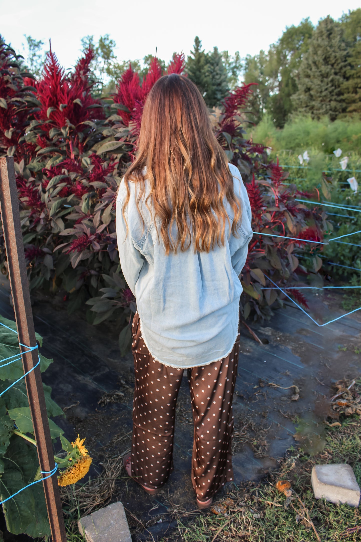 Denim Days Top