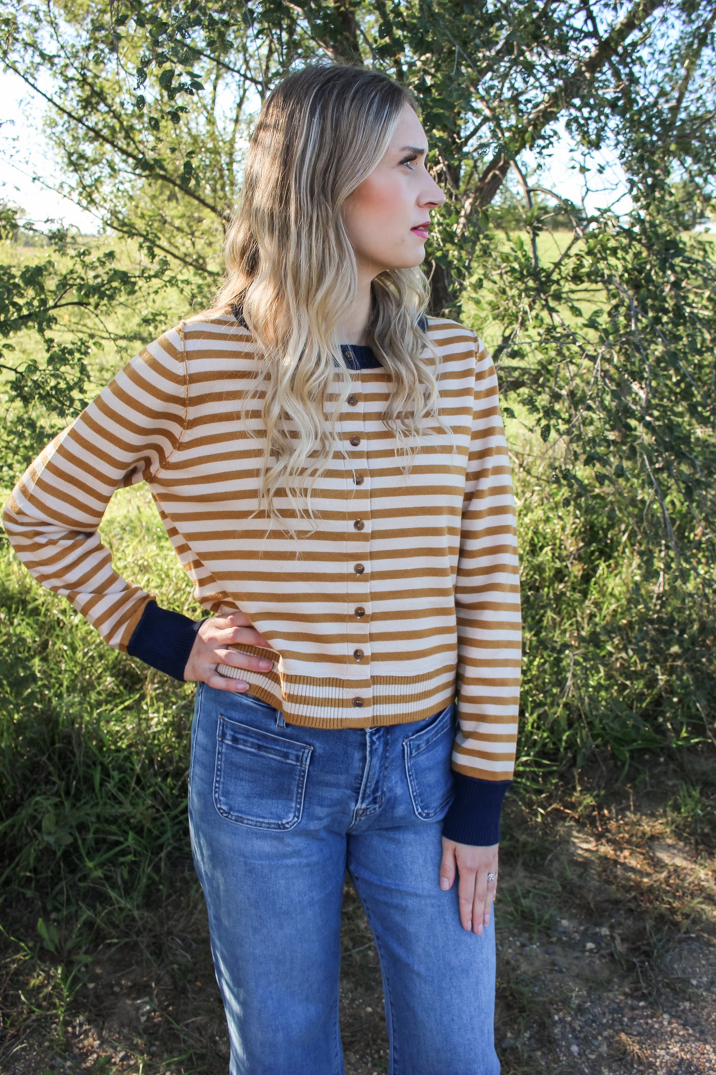 Crisp Comfort Sweater